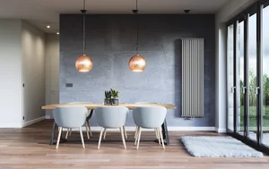 Radijator Terma Delfin (ZX SilverMatt)