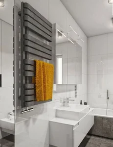 Radijator Terma Warp S