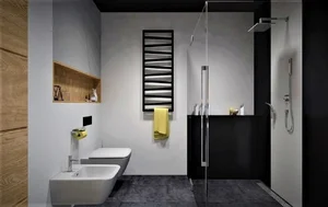 Radijator Terma Zigzag